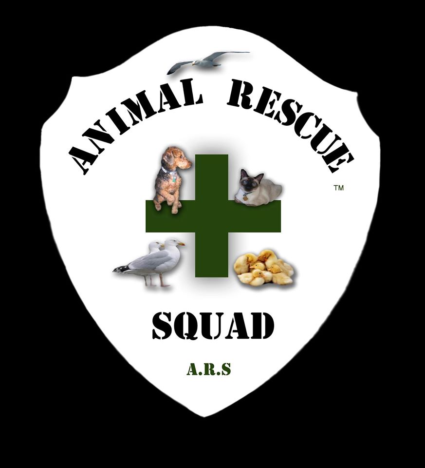 Animal Rescue Squad
